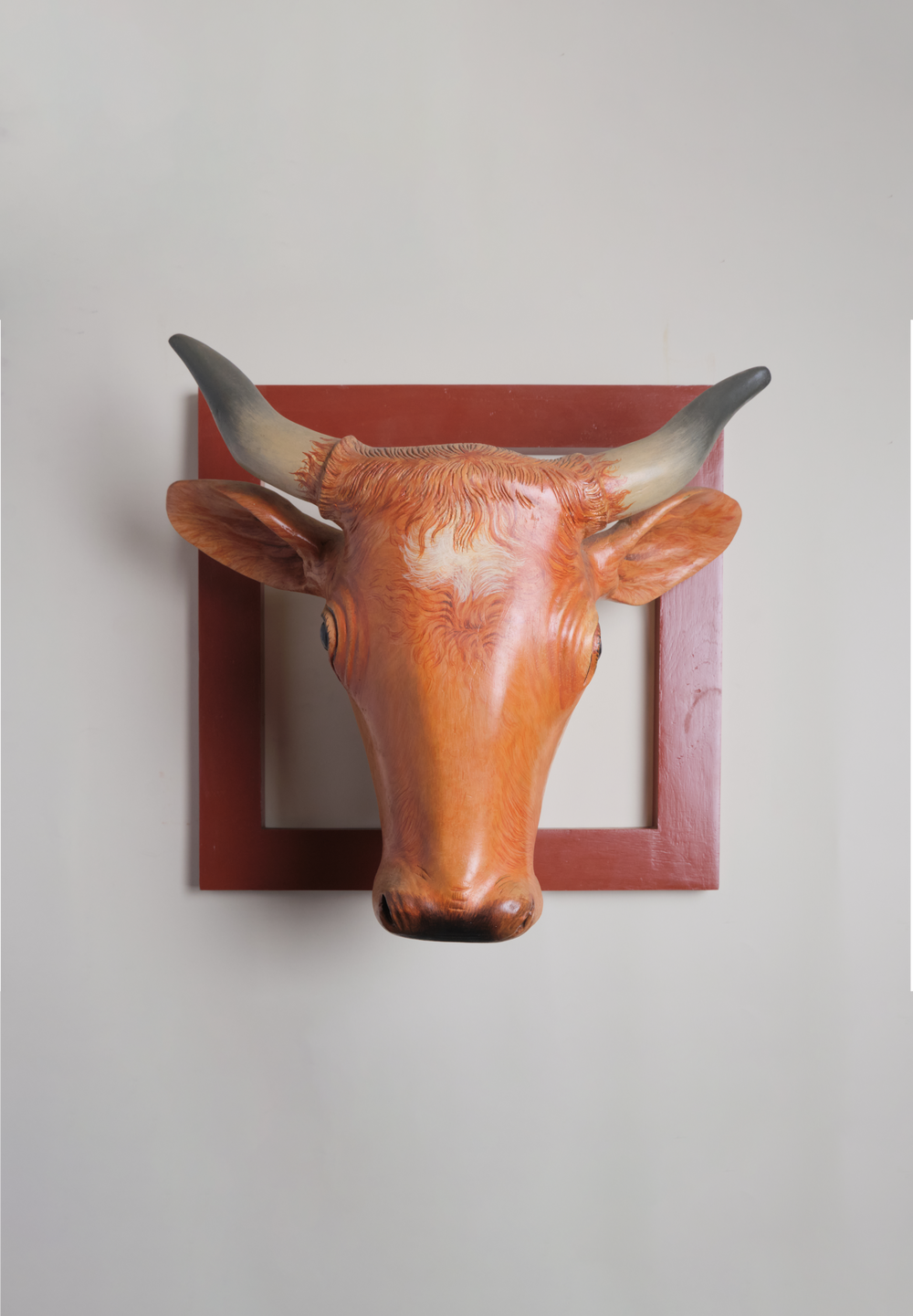 Cow Head