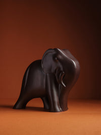 Modern Elephant