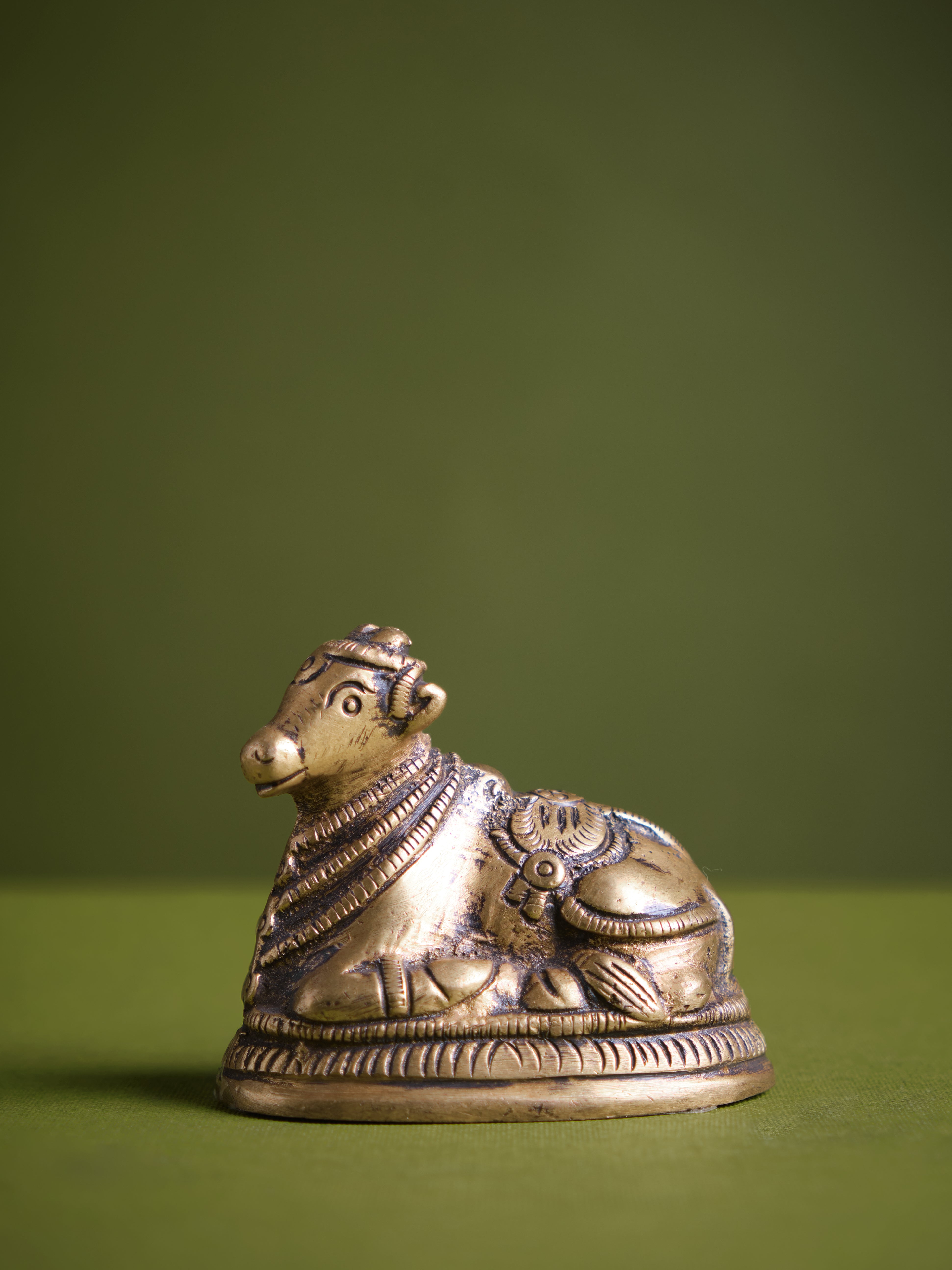 Small Nandi